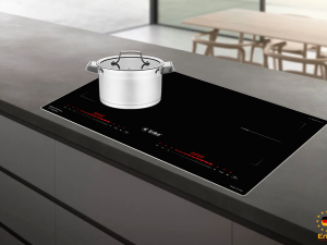 Bếp điện từ Erika EK-332